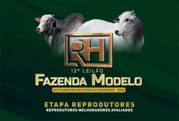 12º LEILÃO FAZENDA MODELO GUTO GRASSANO - ETAPA REPRODUTORES
